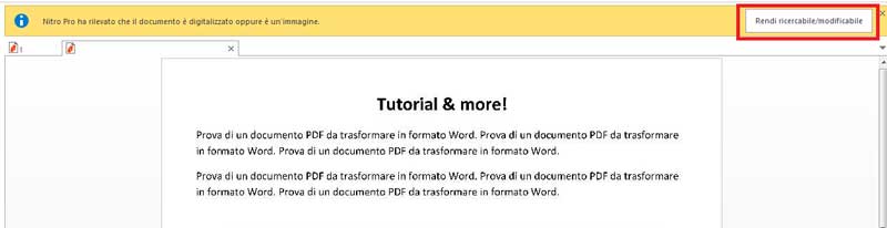 rendere editabile immagine con nitro